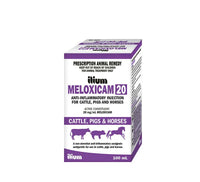 ilium Meloxicam 20 Anti-Inflammatory Injection 100ml