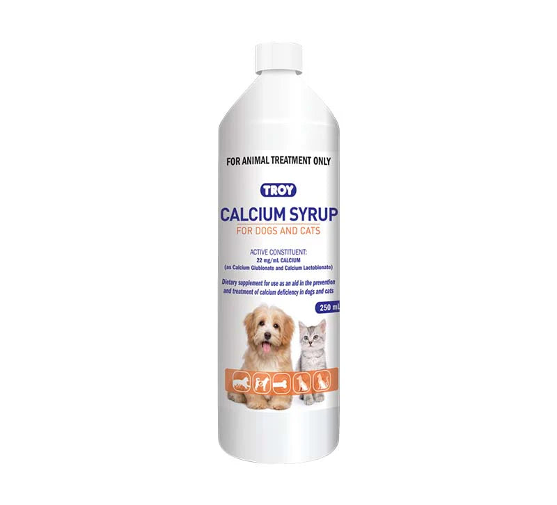 Troy Calcium Syrup 250ml