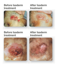Isaderm Gel 15g