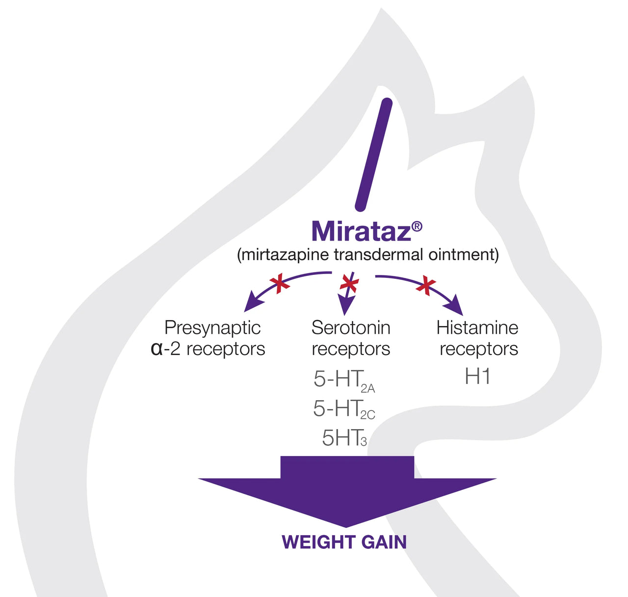 Mirataz® (mirtazapine transdermal ointment) 5g