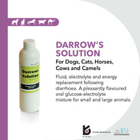 Thumbnail for Darrows Solution 250ml
