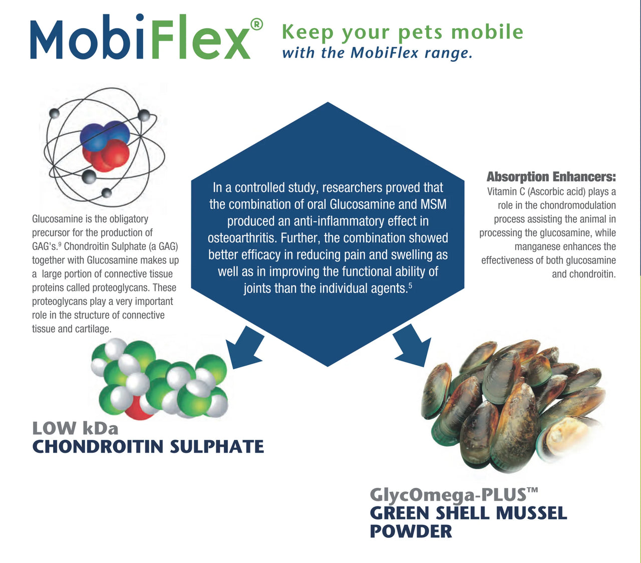 MobiFlex® Mobility Supplement 250g