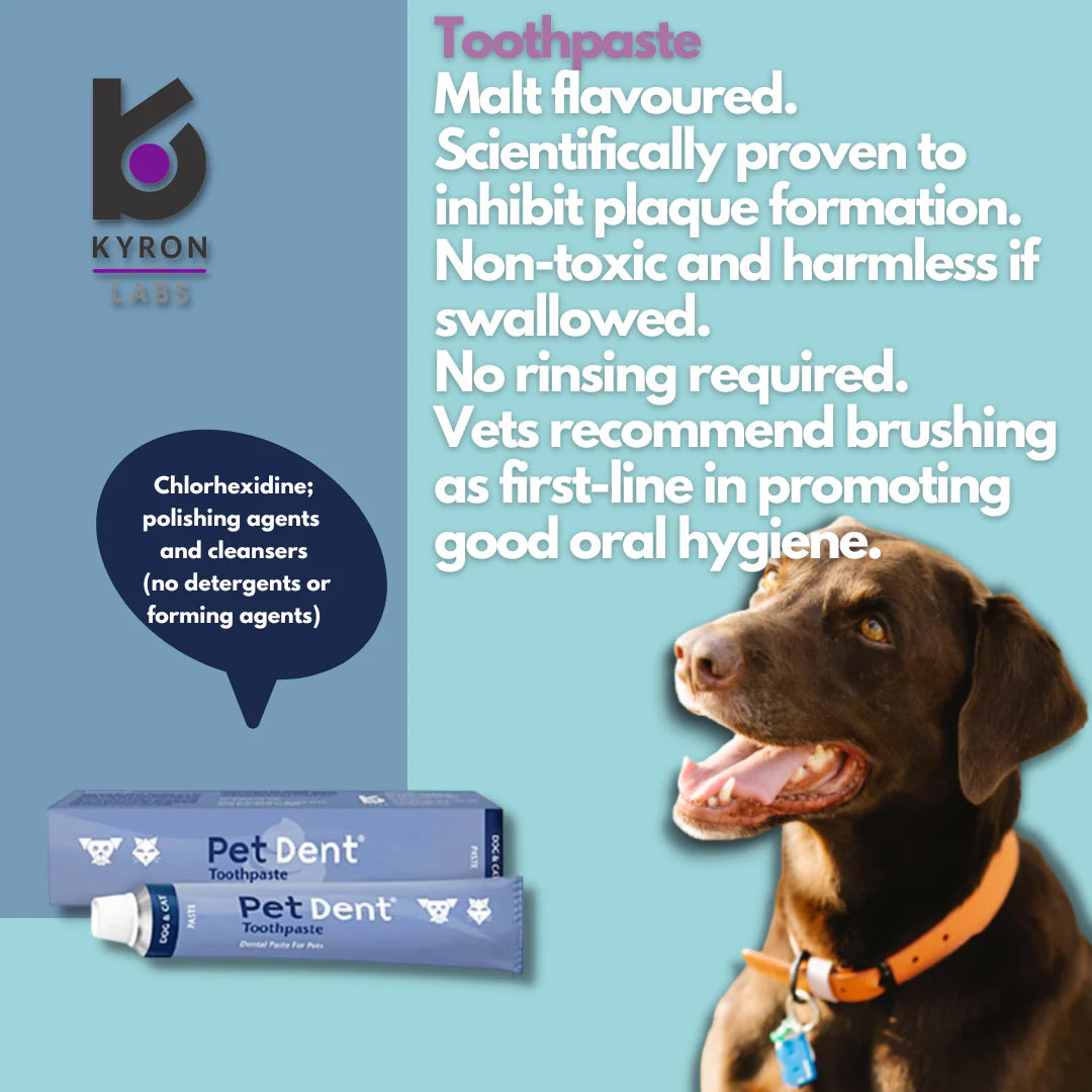 Fish Dog Toothpaste Pet Dent Toothpaste 60g – VetForest.com