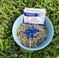 Thumbnail for EQUESTRA EQUINE OMEPRAZOLE 50 x 2g