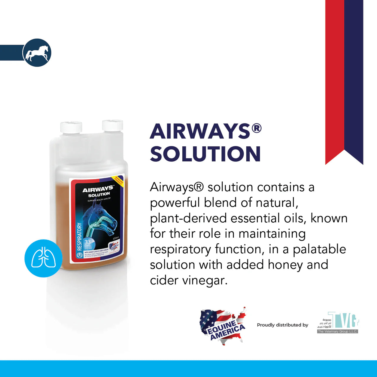 AIRWAYS® SOLUTION 500ml