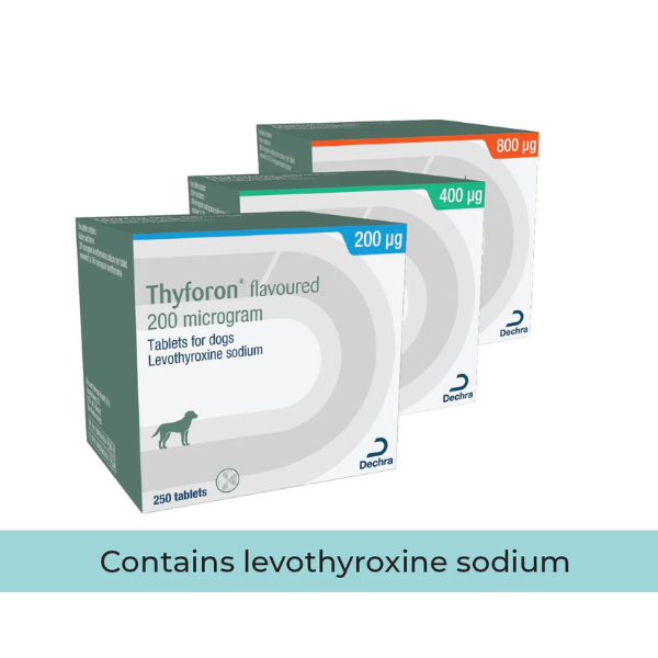 Thyforon Flavoured Tablets 400mg