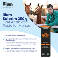 ilium Sulprim Paste 250g