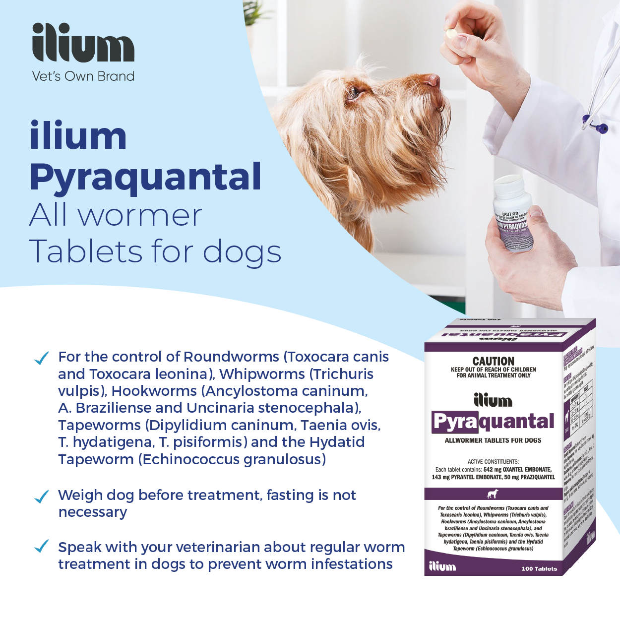 ilium Pyraquantal Allwormer 100Tablets