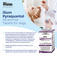 ilium Pyraquantal Allwormer 100Tablets