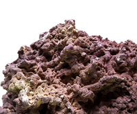 Thumbnail for Jurassic Reef Rock Mixed Sizes, 12KG / Box