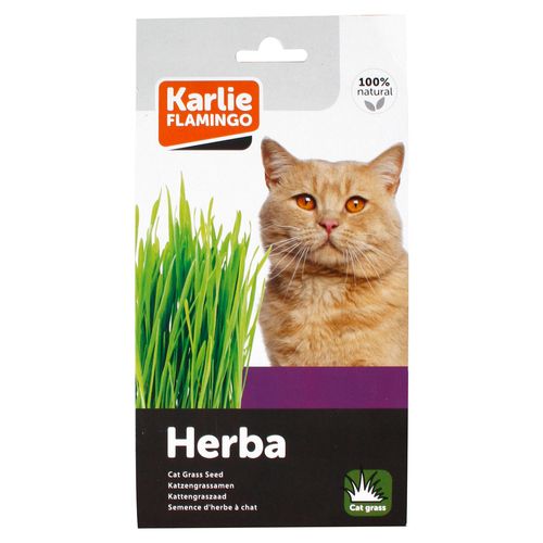 Flamingo Cat Grass Seed Herba -