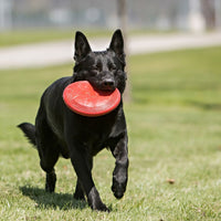 Thumbnail for Kong Flyer Dog Toy - SMALL