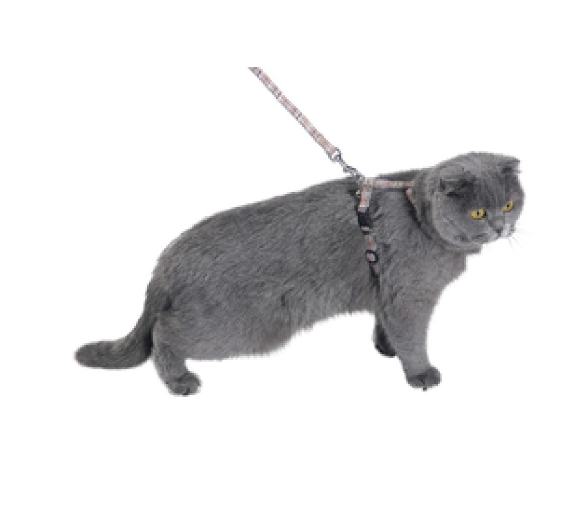Kilt Cat Harness & Lead - Beige / XS