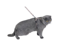Thumbnail for Kilt Cat Harness & Lead - Beige / XS