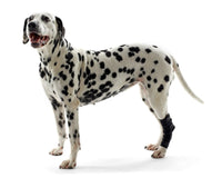 Thumbnail for KRUUSE Rehab hock protector Medium
