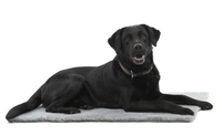 Thumbnail for KRUUSE Vet Bed Grey, 75 x 50 cm