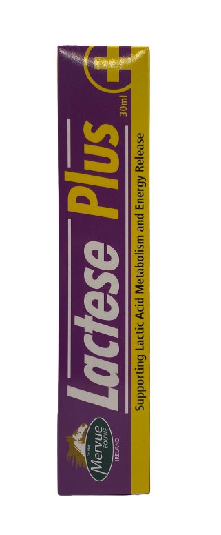 Lactese Plus to support muscle function in horses