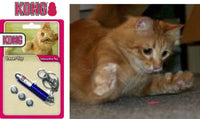 Thumbnail for Kong Active Laser Pen Cat Toy -