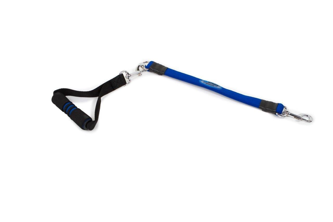 Ez Step Stretch Leash Large - blue