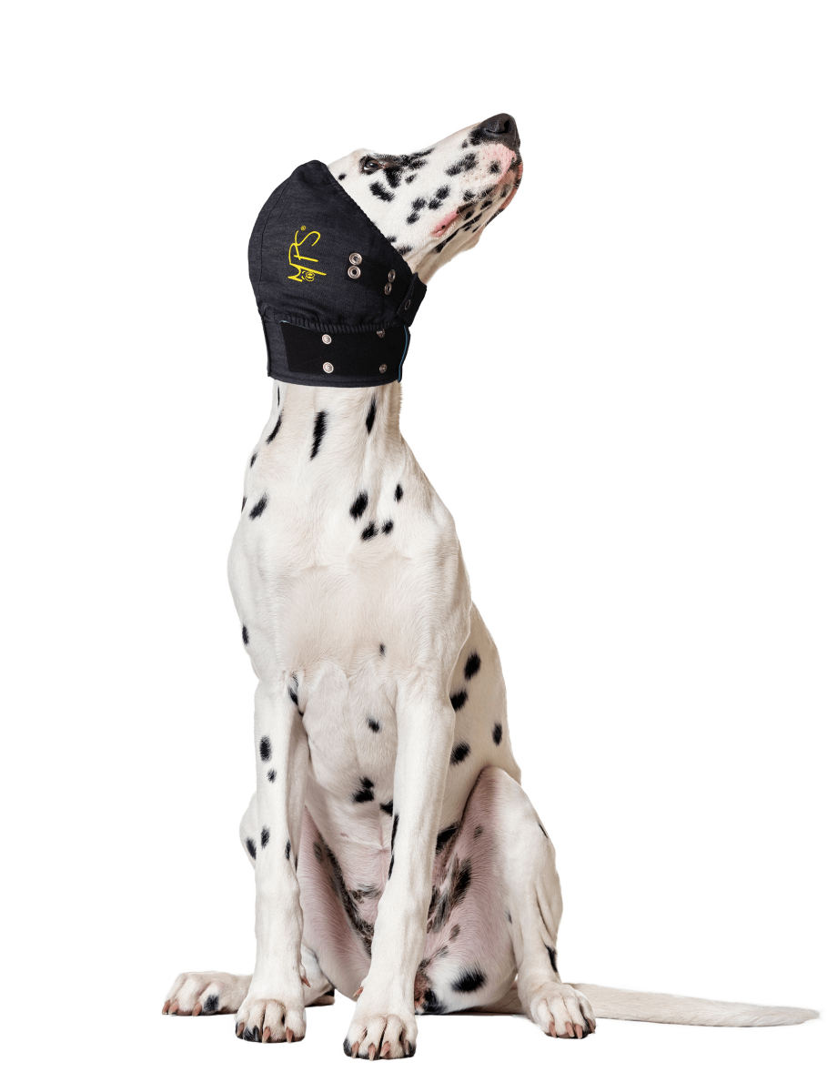 MPS Head Cover Medium