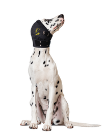 Thumbnail for MPS Head Cover XLarge