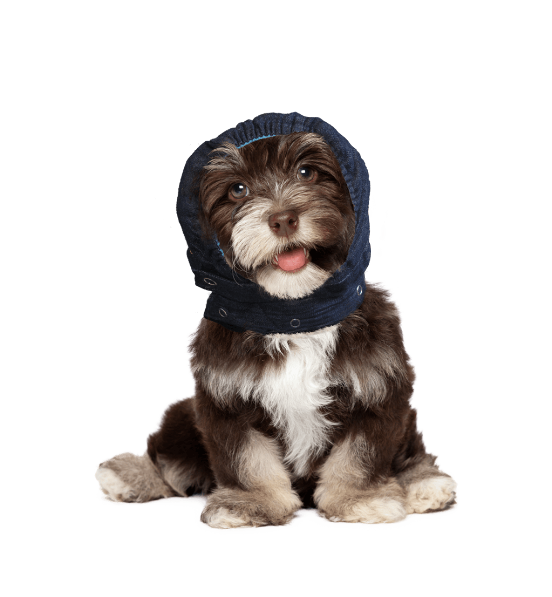 MPS Head Cover XSmall