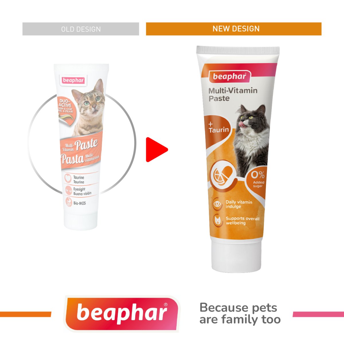Multi Vitamin Paste - Cat 100g