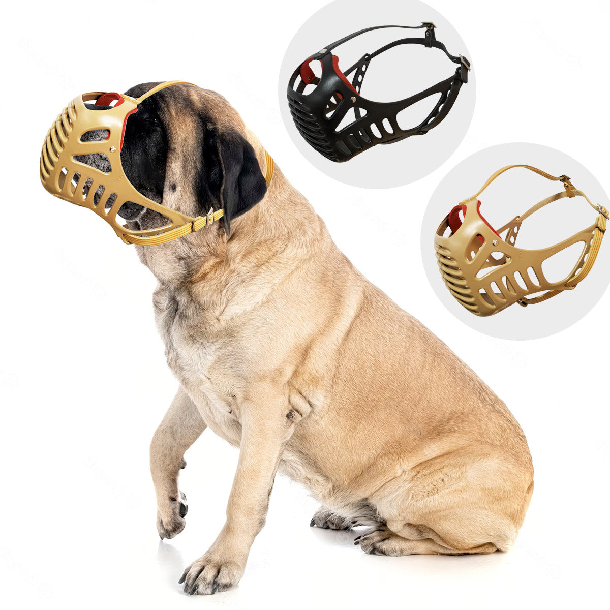 Dog Fever Molossian Muzzle with Leather Strap - black
