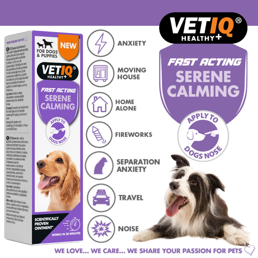 VetIQ Serene Calming Dog Ointment 50g - 50g