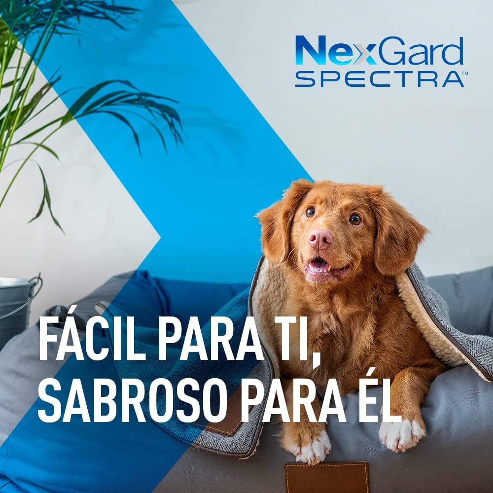 Nexgard Spectra 1.35-3.5 kg Tabs - very small