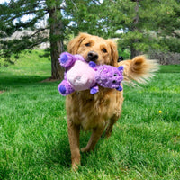 Thumbnail for Kong Knots Belly Hippo Squeaker Dog Toy - M/L