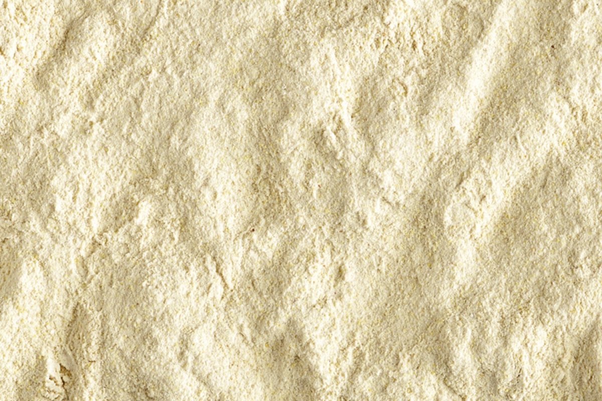 NutriBird A21 800gm