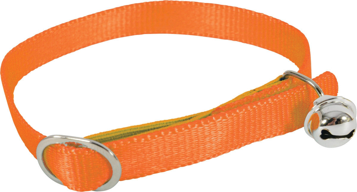 Nylon Collar Orange, 30 cm/ 10 mm
