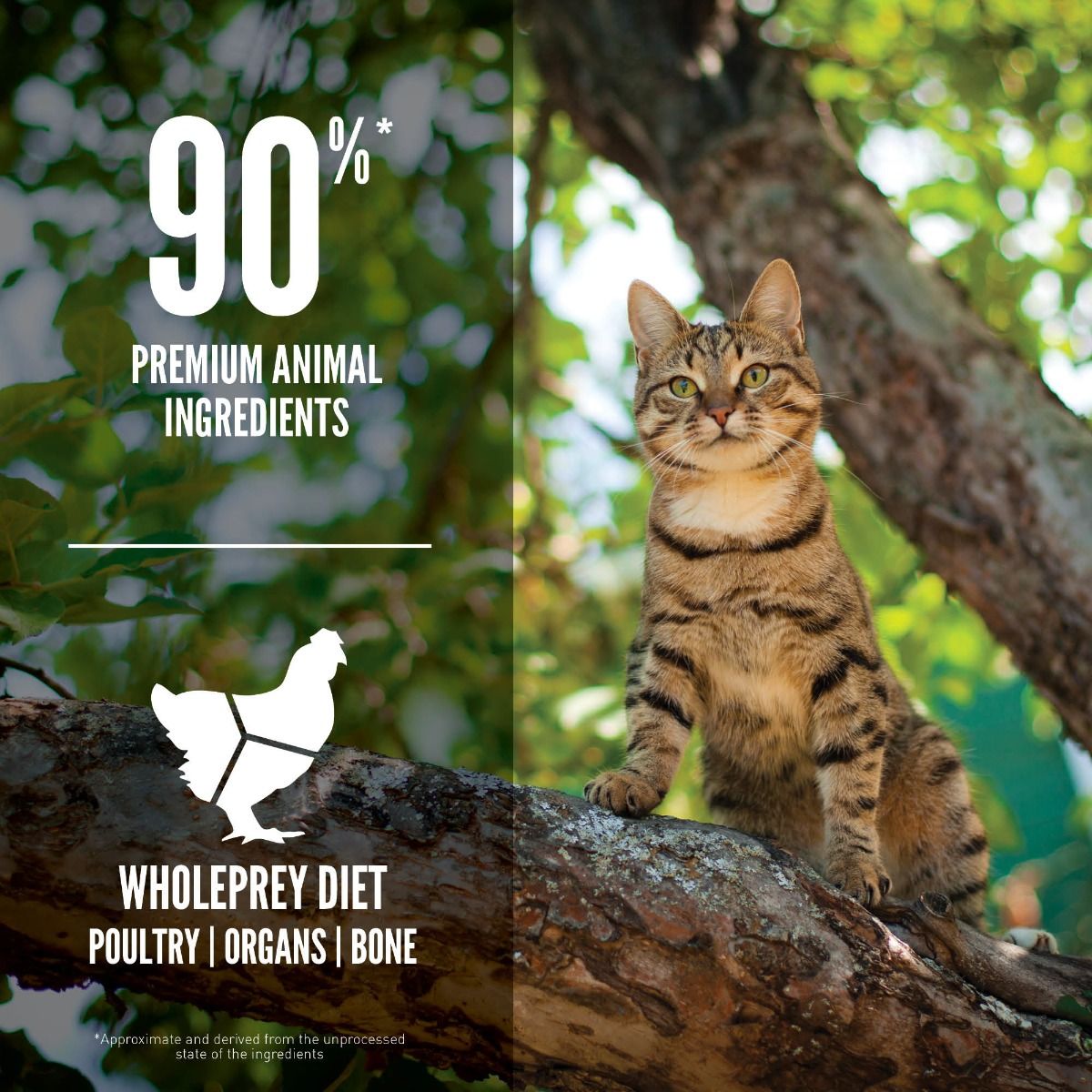 Orijen Guardian 8 Dry Cat Food 1.8kg - 1.8KG