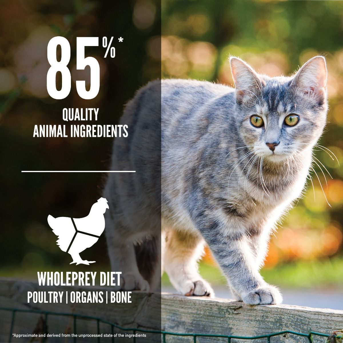 Orijen Original Cat Dry Food - 5.4KG