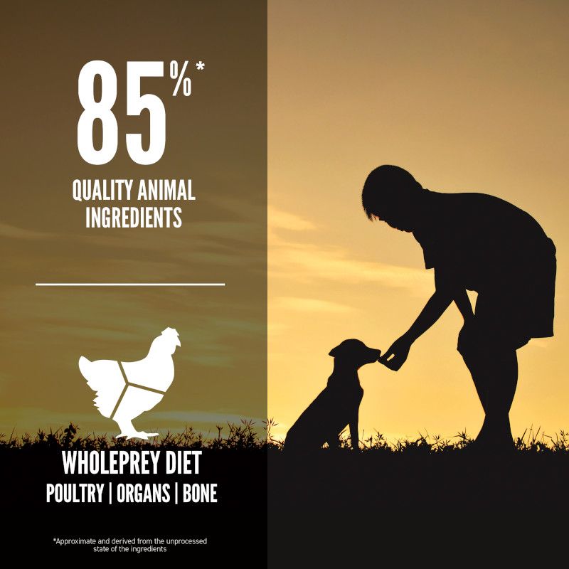 Orijen Puppy Small Breed Dry Dog Food 1.8kg - 1.8KG