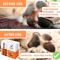 Thumbnail for DogsLife Paw & Nose Balm Dog 60ml - 60ML
