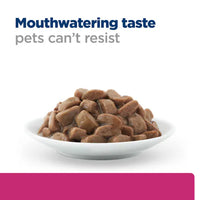 Thumbnail for Hill’s Science Plan Hypoallergenic Adult Dry wet Food with Salmon (12x363g)