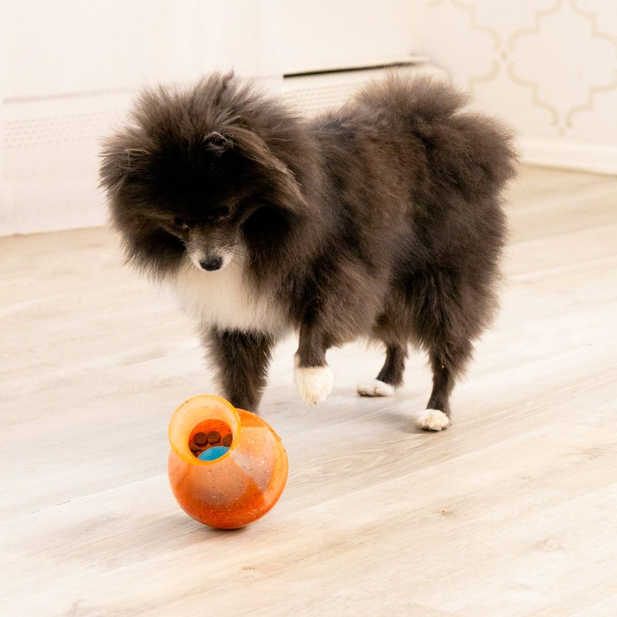 Kong Rewards Tipsy Interactive Dispenser Dog Toy - Small