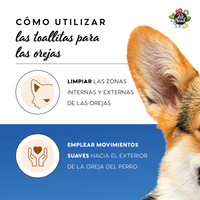 Pet Head Health Ear Wipes 30/pk