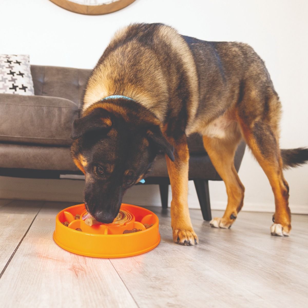 Kong Licks Mealtime Interactive Dog Feeder Large - Large