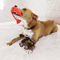 Thumbnail for Kong Pull-A-Partz Pals Bear Squeaker Dog Toy - Medium