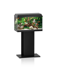 Thumbnail for REKORD 600 Stand SB - Black 60/50