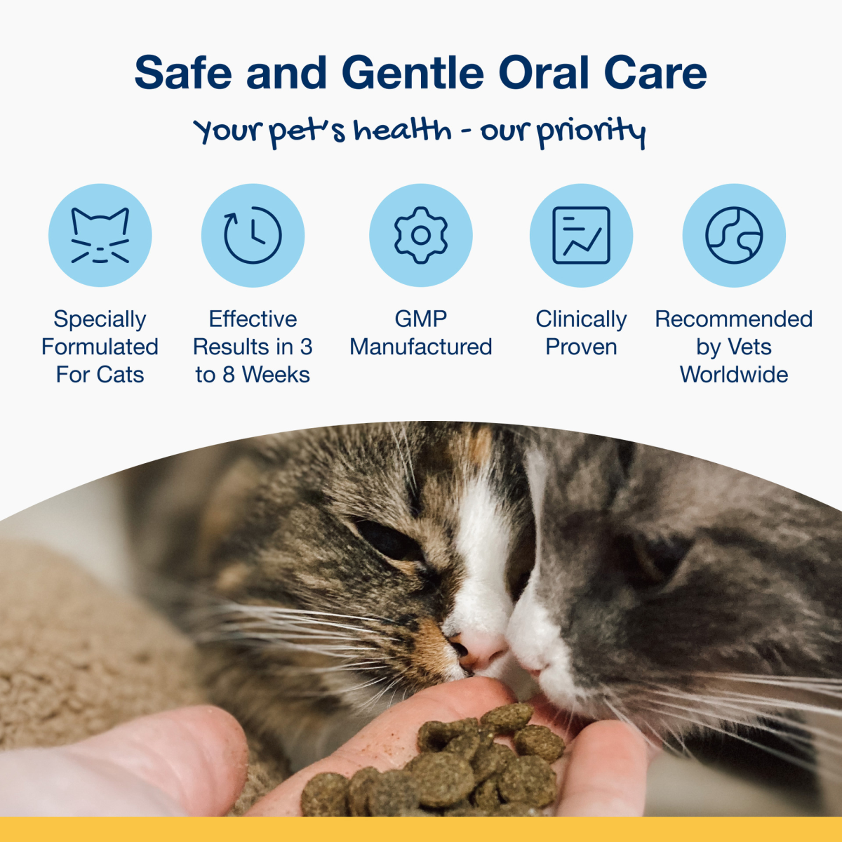 ProDen PlaqueOff Dental Bites for Cats - Salmon Flavour 60 g