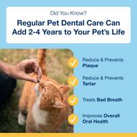 Thumbnail for ProDen PlaqueOff Dental Bites for Cats - Salmon Flavour 60 g