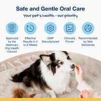 Thumbnail for ProDen PlaqueOff Dental Bites for M/L Dogs - Veggie Flavour 150 g