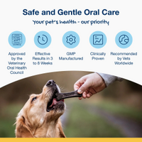 Thumbnail for ProDen PlaqueOff Mini Dental Care Bones - Peanut Butter & Banana 340 g