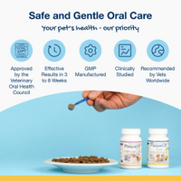 Thumbnail for ProDen PlaqueOff Powder for Dogs 180 g