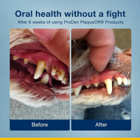 Thumbnail for ProDen PlaqueOff Powder for Dogs 20 g