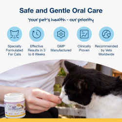 ProDen PlaqueOff Soft Chews for Cats - 120 chews, 90 g